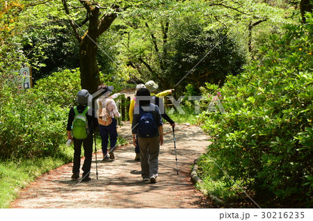 春爛漫の都立平山城址公園 八王子市 春爛漫の都立平山城址公園 八王子市 30216235