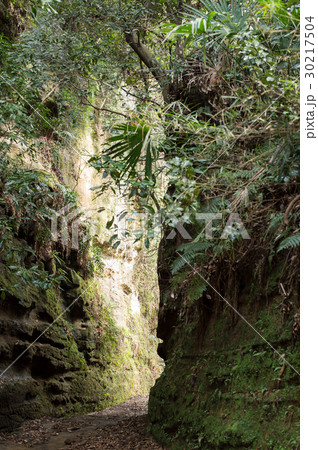 朝夷奈切通し 鎌倉市 横浜市 朝夷奈切通し 鎌倉市 横浜市 30217504