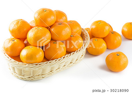 温州みかん 30218090