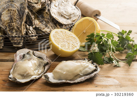 牡蠣 牡蠣 30219360