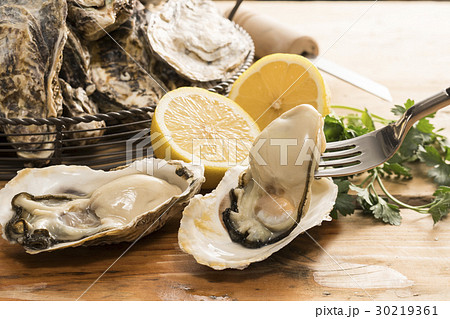 牡蠣 牡蠣 30219361