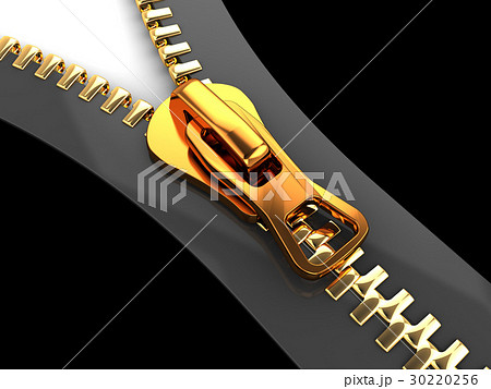 3d zipper 30220256