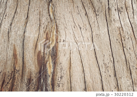 Natural texture. 30220312