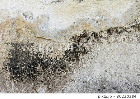 Pattern and background. 30220384