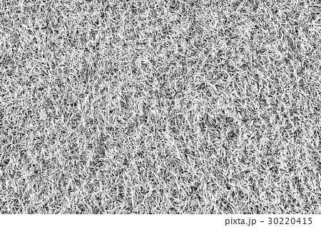 The artificial grass in black and white effect 30220415