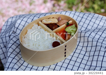 お弁当、弁当 お弁当、弁当 30220441