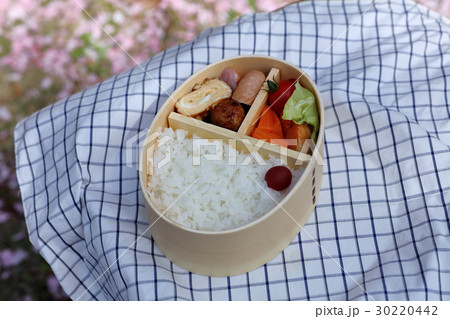 お弁当、弁当 お弁当、弁当 30220442