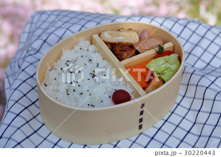 お弁当、弁当 お弁当、弁当 30220443