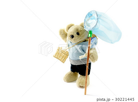 虫とりをするくまの男の子 虫とりをするくまの男の子 30221445