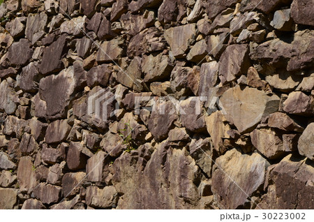 春の八王子城址はこんな感じ　八王子市 30223002