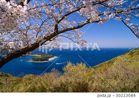 【静岡県】西伊豆戸田の御浜岬、桜の季節 30223089