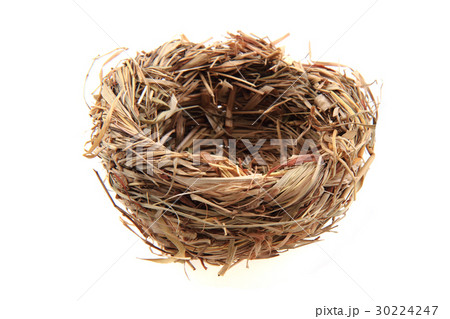 small straw nestle small straw nestle 30224247