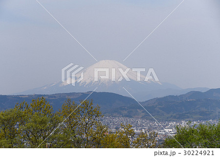弘法山公園からの富士山 弘法山公園からの富士山 30224921