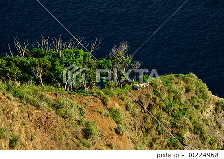 奄美 曽津高崎の海01 奄美 曽津高崎の海01 30224968