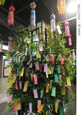 梅田七夕 30227192