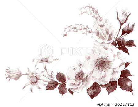セピア調白い花の下部フレーム素材のイラスト素材