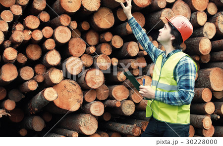 Worker in helmet counts wood lumber 30228000