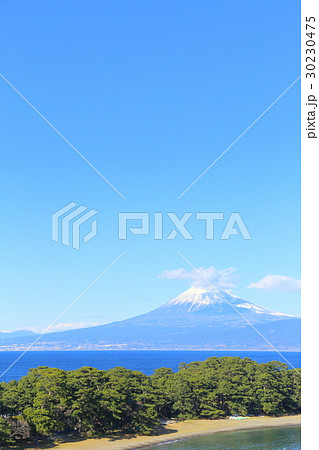 富士山と松林 【静岡県戸田港】 富士山と松林 【静岡県戸田港】 30230475