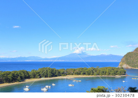 富士山と松林　【静岡県戸田港】 30230478