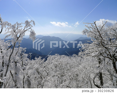 冬の明神平 冬の明神平 30230826