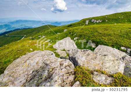 meadow with boulders in summer meadow with boulders in summer 30231795