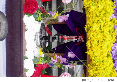 花まつり 30231898