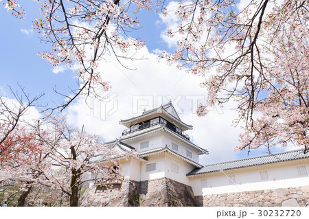 春の悠久山公園 郷土資料館の写真素材