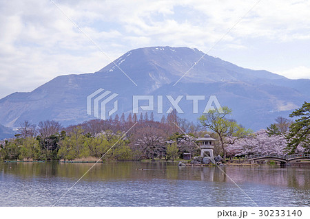 春の伊吹と三島池_1 春の伊吹と三島池_1 30233140