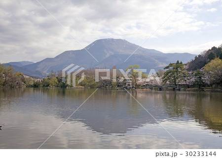 春の伊吹と三島池_3 30233144