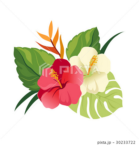 Beautiful Hibiscus Flowers And Palm Leavesのイラスト素材