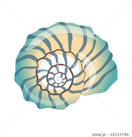 Beautiful blue seashell, an empty shell of a sea 30233786