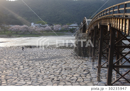 対岸の桜と錦帯橋 30235947