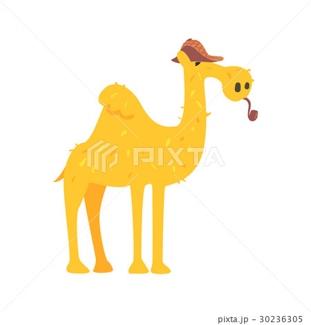 Cute cartoon camel in brown cap and smoking pipe 30236305