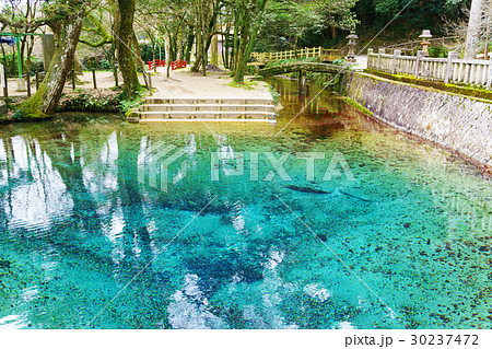 別府弁天池 30237472