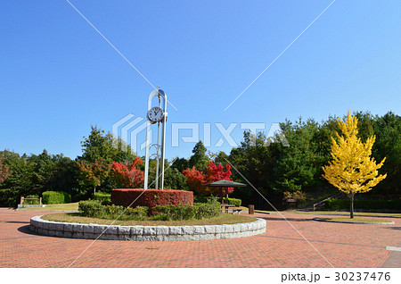 岡山市日応寺自然の森スポーツ広場の秋 岡山市日応寺自然の森スポーツ広場の秋 30237476