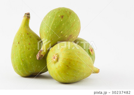 Common fig (Ficus carica) isolated 30237482