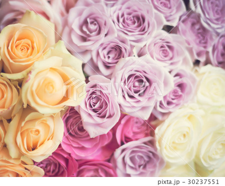 Vintage bouquet of roses Vintage bouquet of roses 30237551