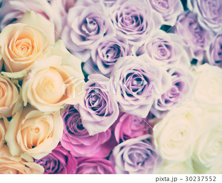 Vintage bouquet of roses Vintage bouquet of roses 30237552