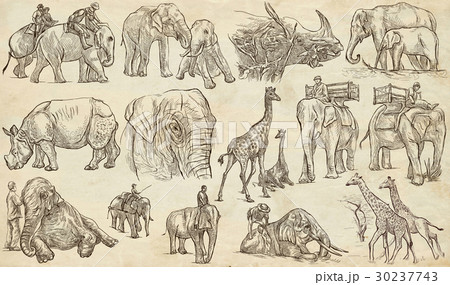Animals around the World. Big and heavy. 30237743