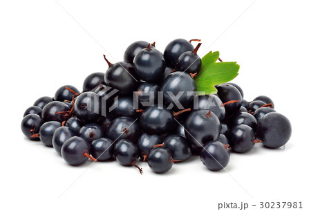 Black currants isolated. Black currants isolated. 30237981