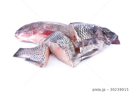 whole and portion cut fresh Nile Tilapia fish 30239015