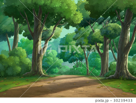 landscape forest daytime landscape forest daytime 30239433