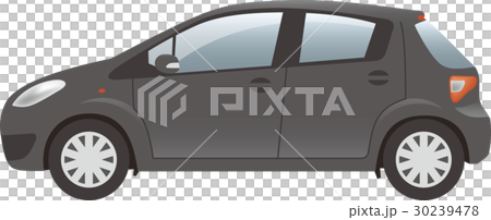 Automotive Landscape (Black) Automotive Landscape (Black) 30239478
