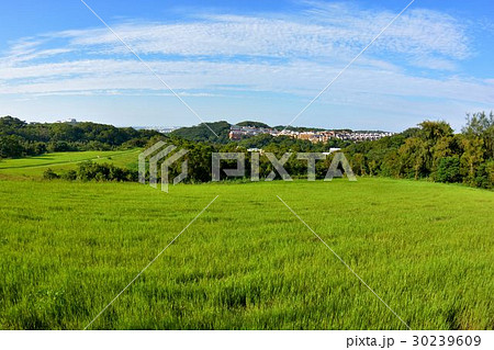 公園 パーク 園 30239609