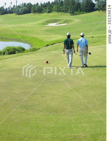 Golf Golf 30239614