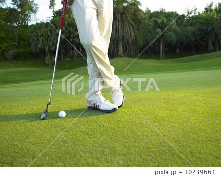 Golf Golf 30239661