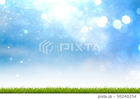 Fresh spring green grass with bokeh Fresh spring green grass with bokeh 30240254