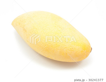 mango mango 30241377