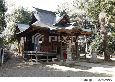 片倉城址公園(住吉神社:八王子市) 片倉城址公園(住吉神社:八王子市) 30242995