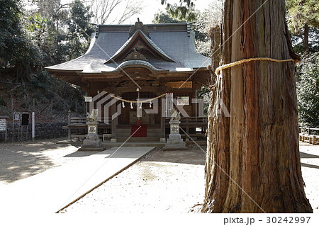 片倉城址公園(住吉神社:八王子市) 片倉城址公園(住吉神社:八王子市) 30242997